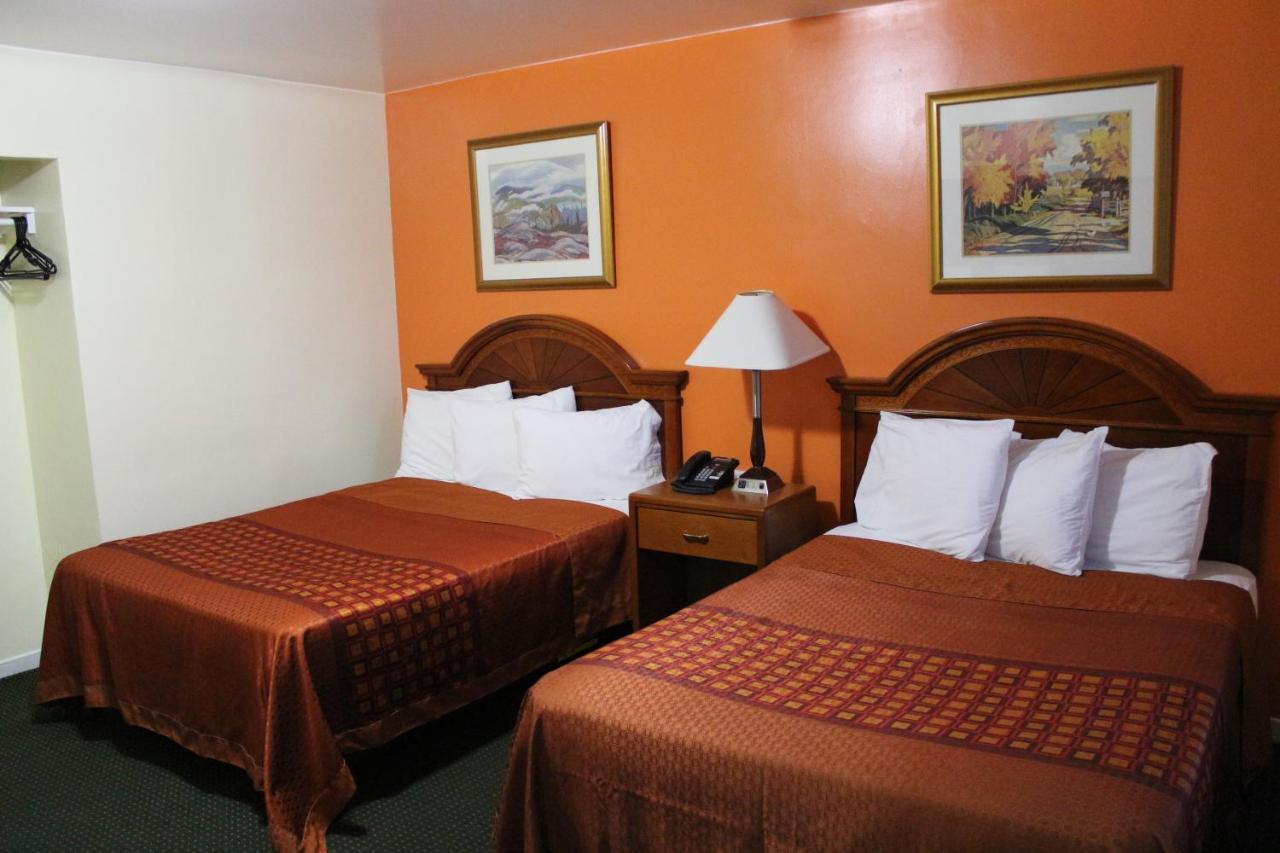 Norvic Motel Coniston Dış mekan fotoğraf