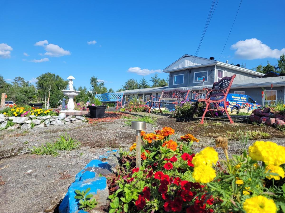 Norvic Motel Coniston Dış mekan fotoğraf