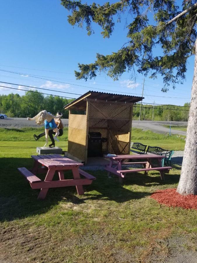 Norvic Motel Coniston Dış mekan fotoğraf